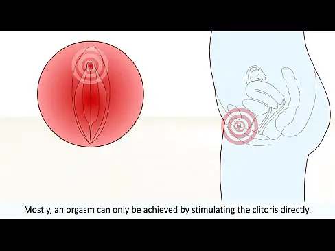 The Female Orgasm Explained