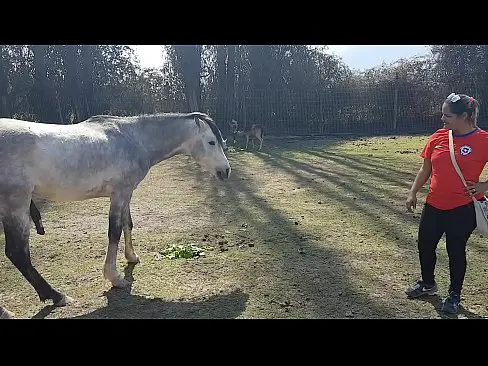 Fiquei Toda Molhada Ao Ver O Tamanho Do Membro De Um Cavalo  Queria Que Meu Namorado Fosse Assim  Paty Bumbum El Toro De Oro