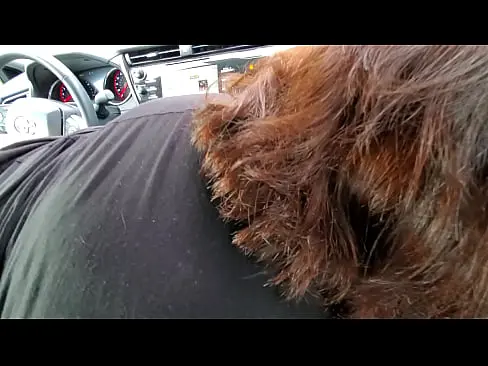 Public Blowjob In The Car