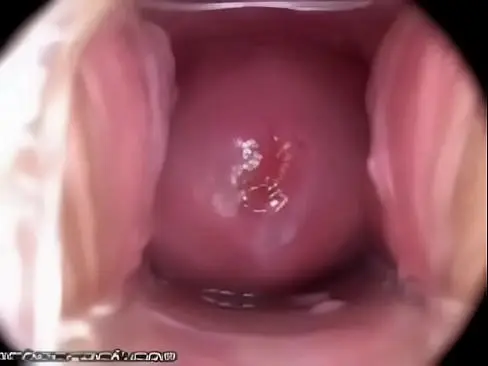 Orgasmo Vaginal